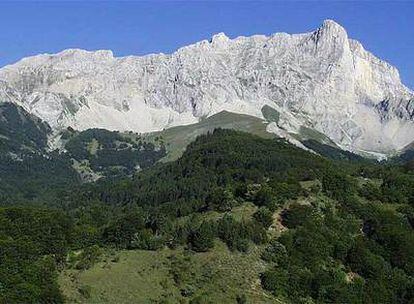 Cumbre de Bure, en los Alpes, una de las zonas  en la que se ha realizado el estudio que analiza la adaptación de las plantas al cambio climático.