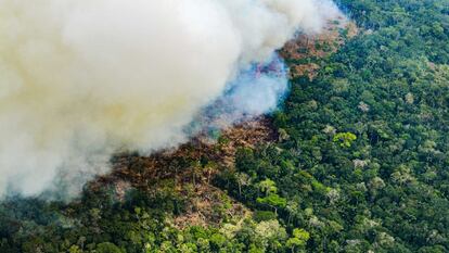 Focos de deforestación en el departamento de Guaviare, en febrero de 2022.