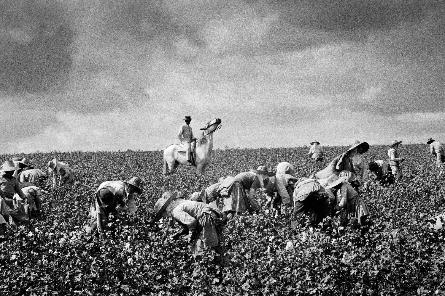 'Jerez de la Frontera, Cádiz' (1963).