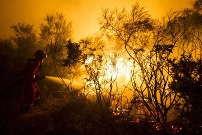 Incendio en Cualedro (Ourense) en agosto de 2015.