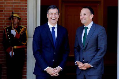 El presidente del Gobierno, Pedro Sánchez, durante su encuentro con el primer ministro de Irlanda, Leo Varadkar.