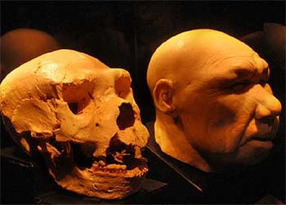 Réplica y recreación del cráneo número 5 de Atapuerca.