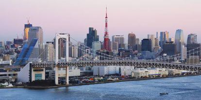 Vista panor&aacute;mica de Tokio.