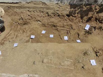 Imagen de la excavación con los restos enumerados en El Madroño.