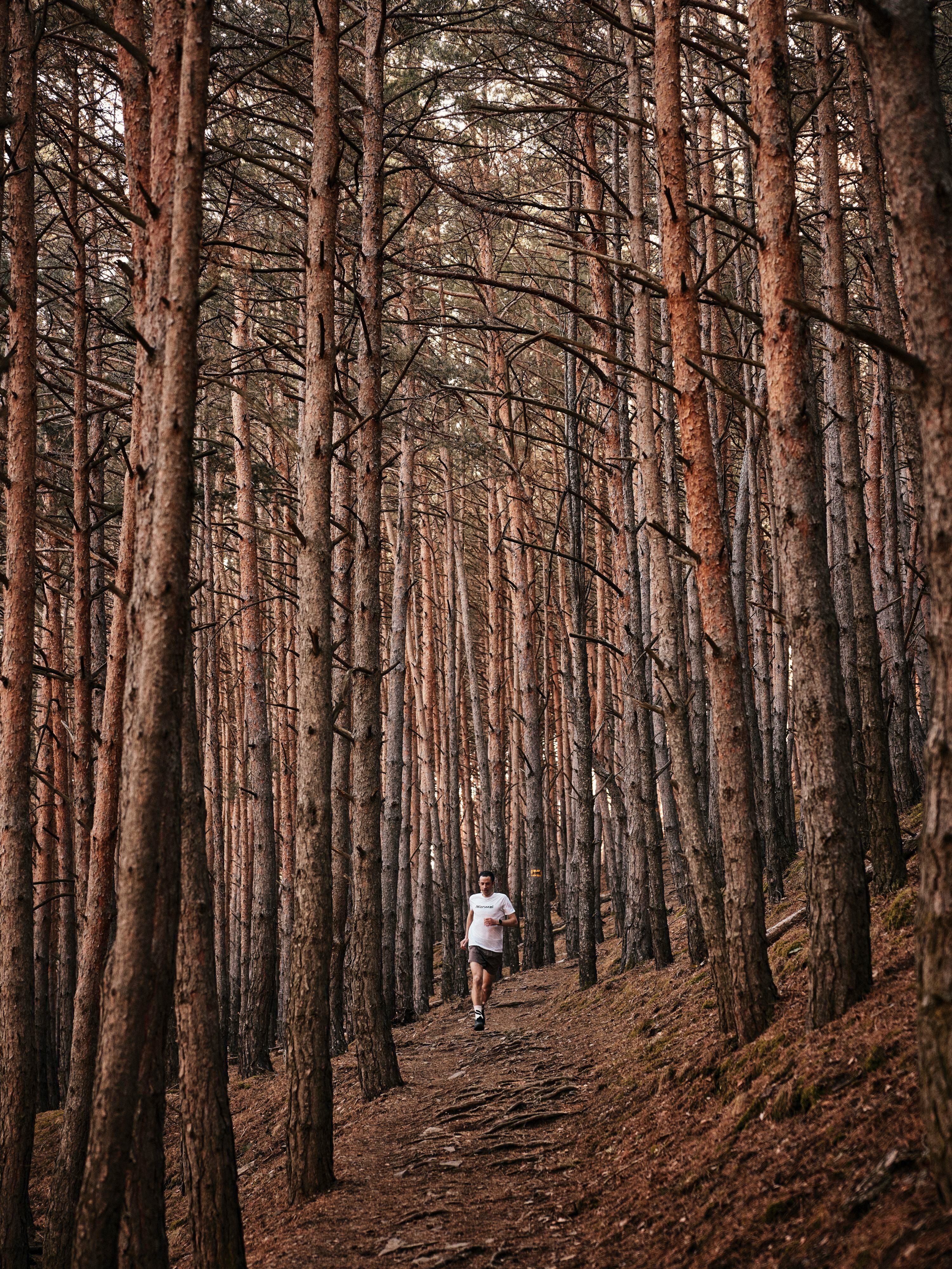 Kilian Jornet entrena en un monte en los Pirineos.