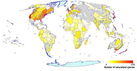 El mapa muestra (en rojo) las zonas con mayor número de plantas exóticas