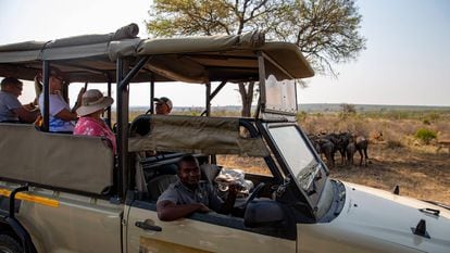 Un grupo de turistas observa una manada de ñus en el parque nacional Kruger, en Sudáfrica.