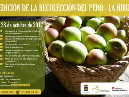 Cartel de la Fiesta de la Recolecci&oacute;n del Pero de La Hiruela.