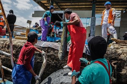 Pescadores descargan la pesca de una embarcación artesanal en Paita, el puerto pesquero más grande en el norte del país.