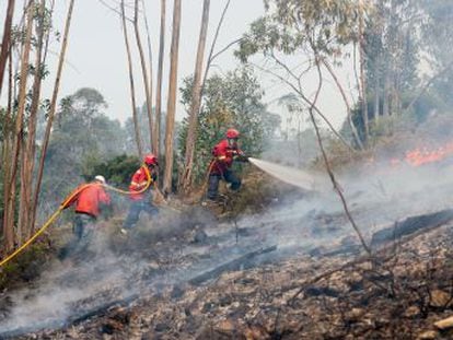 Fuertes vientos retrasan la extinción de los fuegos en el centro del país