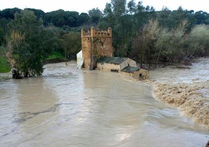 El río Guadaira, uno de los afluentes del Guadalquivir, crecido por las últimas lluvias, a su paso por la localidad sevillana de Alcalá de Guadaira.