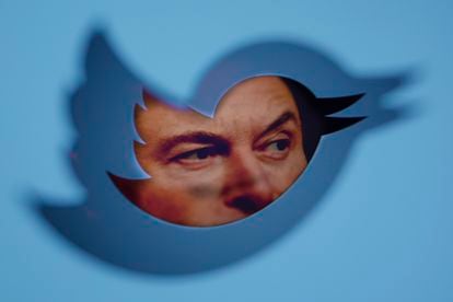 El dueño de Twitter, Elon Musk, asoma a través del logo de la red social.