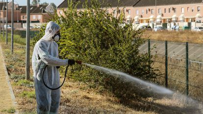 Un operario fumiga jardines de Coria del Río tras el brote de virus del Nilo Occidental en 2020.