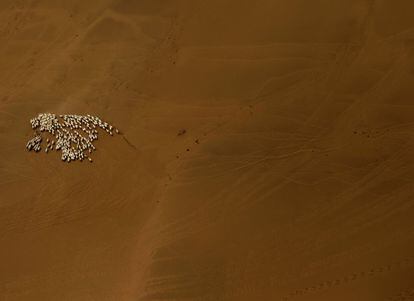 Lo rodean las montañas de Altái y las estepas de Mongolia, por el norte; la meseta del Tíbet, por el suroeste; y la llanura del Norte de China, por el sureste. En la imagen, un rebaño de ovejas en el desierto de Gobi, Mongolia.