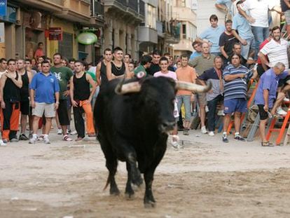 Espectáculo de 'bous al carrer', en septiembre pasado en Burriana.