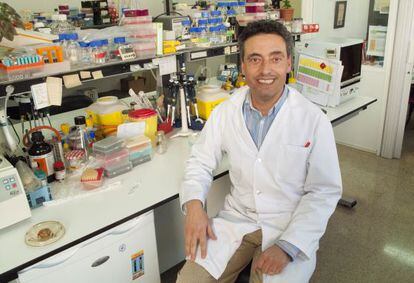 Carlos Martín lleva casi 20 años de trabajo invertidos en la vacuna.