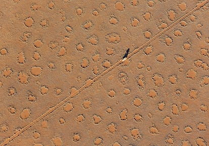 The Fairy Circles are circular patches without any vegetation which according to recent scientific studies are caused by termites. Photographed from a hot-air balloon.