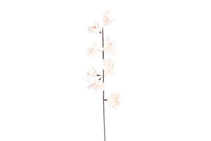 Azuki. Flores Sakura de plástico, (7,99 €).