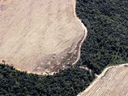 La selva rodea las áreas desforestadas para plantaciones agrícolas en el Estado de Mato Grosso.