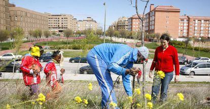 La asociaci&oacute;n de vecinos de Carabanchel Alto realiza una arbolada en el parque Manolito Gafotas en 2016. 