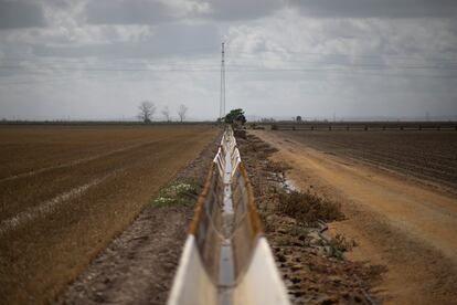Un canal de riego, en la margen izquierda del Bajo Guadalquivir, este viernes. 