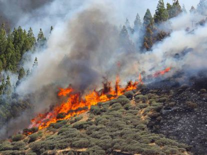 Vista del incendio declarado este sábado en la zona de Artenara, en el oeste de la isla de Gran Canaria.