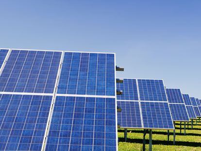 Filas de paneles solares en un parque fotovoltaico.