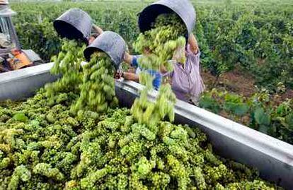 Un sello identificaré los productos españoles procedentes de buenas prácticas ambientales.