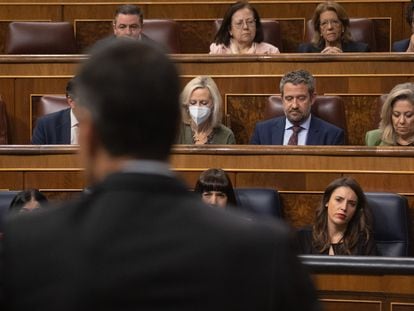 El presidente del Gobierno, Pedro Sánchez (de espaldas), interviene durante una sesión plenaria en el Congreso de los Diputados, el pasado 30 de noviembre. Frente a él (abajo a la derecha), la ministra de Igualdad, Irene Montero.