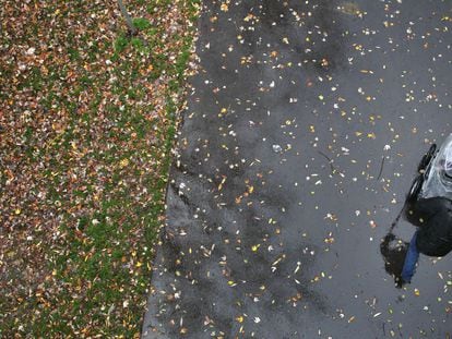 Un hombre empuja un cochecito de niño por un camino cubierto por las hojas caídas del otoño.