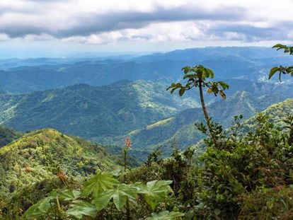La Cordillera Central atraviesa Puerto Rico de este a oeste.