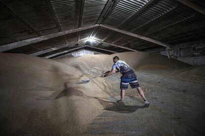 Un granjero acumula cereal en un granero de Odesa, Ucrania.