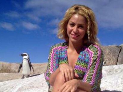 Shakira, durante las vacaciones.