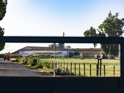 Entrada a la finca Hato Blanco Viejo, en la localidad sevillana de Aznalcázar, este miércoles.