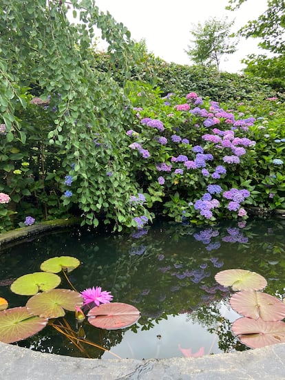 Water lilies, lotuses, water lilies, astilbes, papyrus and other wetland plants invade the basins and ponds scattered throughout the garden.