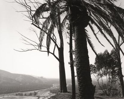 'Borde del San Timoteo Canyon, mirando hacia Los Ángeles, Redlands, California, 1978', de Robert Adams