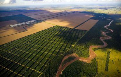 Vista de la la finca La Moraleja, en Argentina.