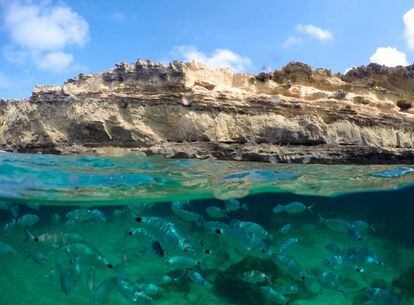 Aguas cristalinas y fondo marino de Formentera.