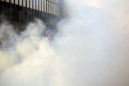 Un empleado municipal fumiga una calle en Soyapango, San Salvador, el 27 de enero de 2016.