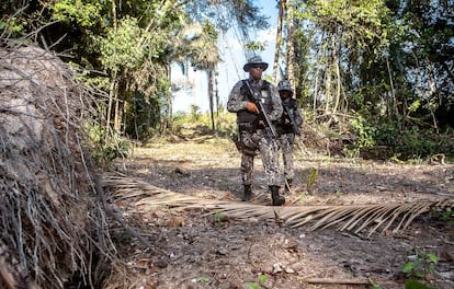 Agentes de la Fuerza Nacional buscan a las personas que deforestan una zona protegida de la Amazonia.