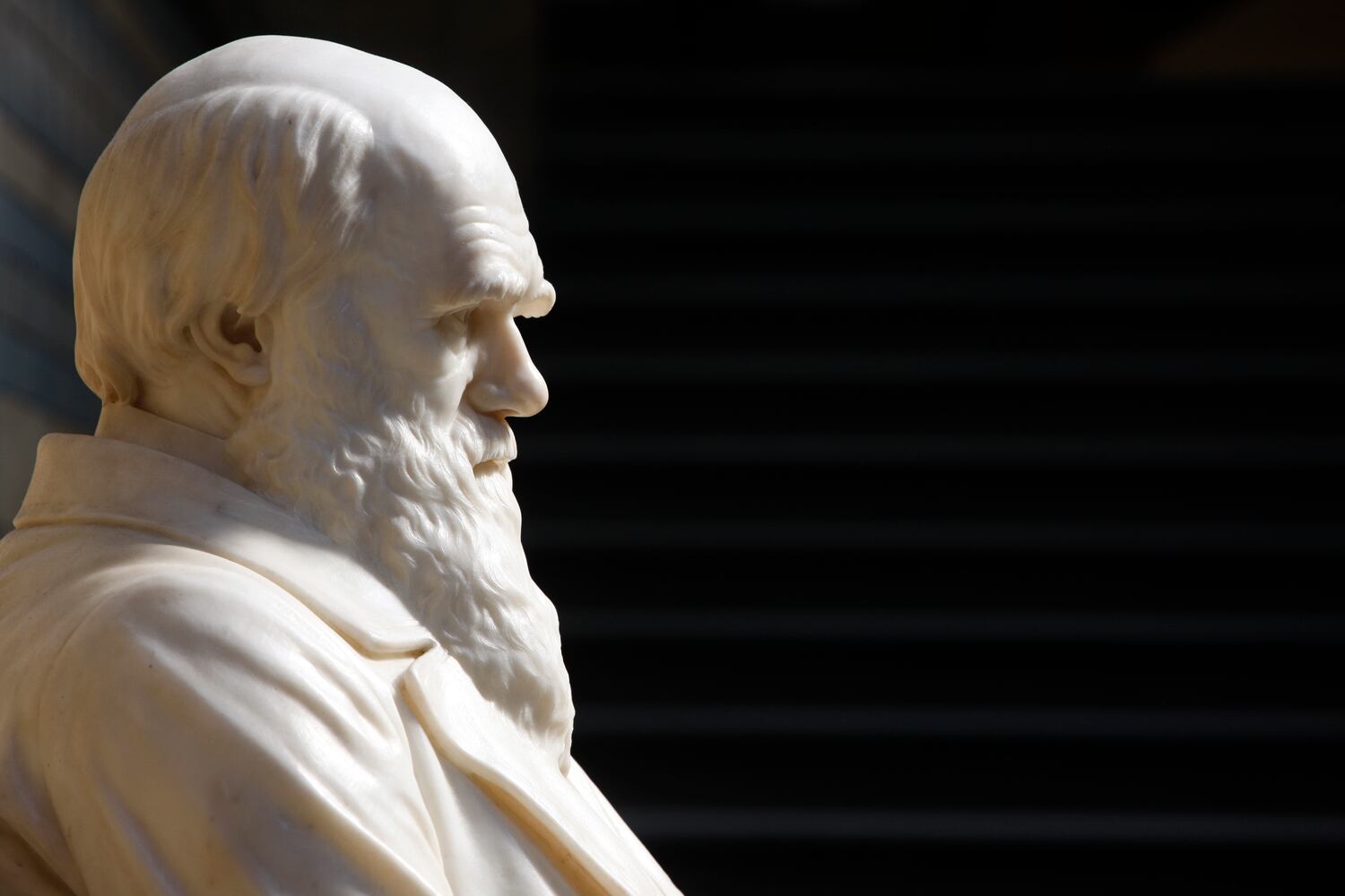 Estatua de Charles Darwin en el Museo Natural de Historia de Londres.