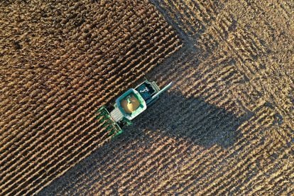 Un tractor trabaja en la cosecha de maíz en Indiana (EE UU), en octubre de 2020.