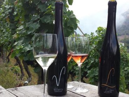 Vitheras ha creado dos variedades de vino: un blanco, por el que ha obtenido varios premios, y un rosado bautizado Luc&iacute;a.