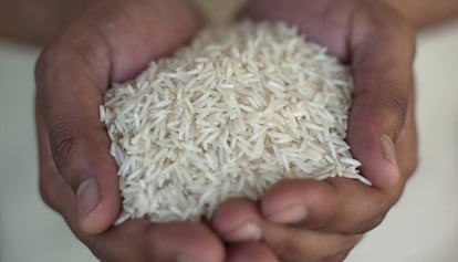 Un arroz no es una anécdota, debe tener pretensión de categoría para responder a las expectativas.