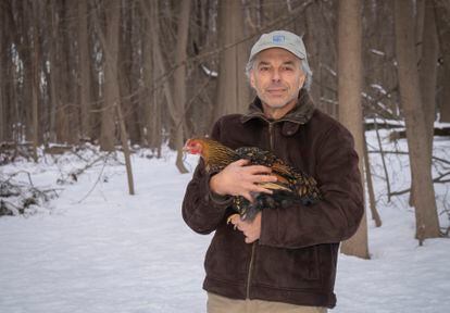 Carl Safina fotografiado el 10 de febrero de 2021 alrededor de su casa en Setauket, Nueva York, con su  gallina, Lacey.