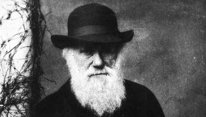 Charles Darwin, según todas las fuentes un hombre afable y un padre cariñoso y bromista, parece congelado en la melancolía en todas sus fotos.