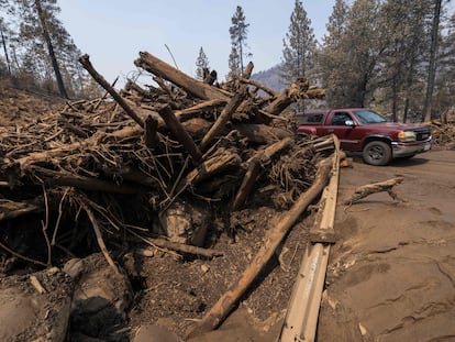 Una pila de árboles desplazados por lluvias torrenciales en el bosque de Klamath, cerca de Yreka, en California, el 3 de agosto.