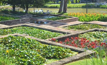 Albercas de plantas acuáticas del jardín Mossèn Cinto Verdaguer, en Montjüic (Barcelona), el pasado 18 de mayo.