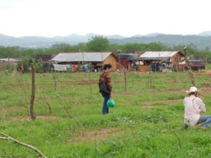 Los desplazados construyen sus nuevas casas en Concordia, Sinaloa.