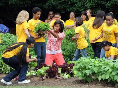 Sobre el huerto de Michelle Obama